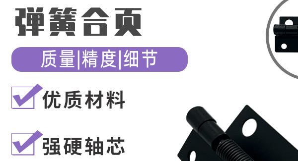 彈簧合頁，你身邊信賴的合頁|廣有五金&東莞合頁?